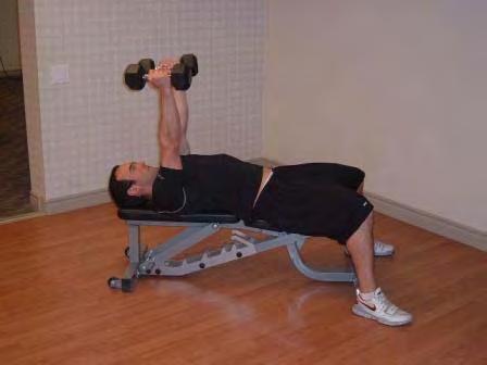 momentum. Lying DB Triceps Extension Lie on your back on a bench.
