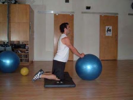 Exercise Descriptions Workout A Stability Ball Rollout Kneel on a mat and place your clasped hands on the