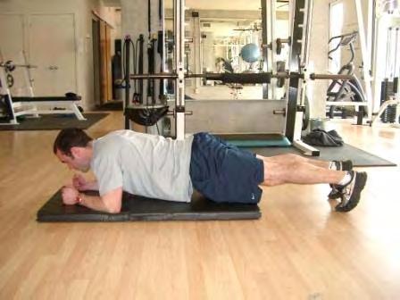 Exercise Descriptions Workout B Plank Lie on your stomach on a mat.