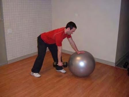 Exercise Descriptions Workout C DB Row with Arm on Stability Ball Hold a dumbell
