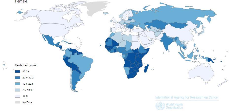 GLOBAL ESTIMATES OF CERVICAL CANCER INCIDENCE AND MORTALITY (2012) Preventable disease related to disparities, mostly socioeconomic, in access to adequate healthcare ~84% of cases occur in less