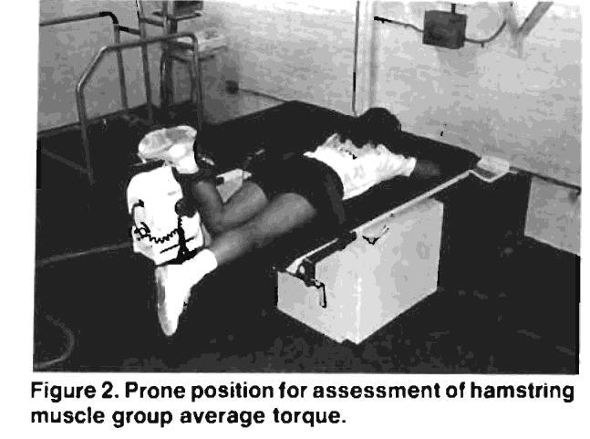 The axis of the dynamometer was aligned with the anatomical axis of the knee joint with the shin pad placed 1-1.5 inches proximal to the medial malleolus.