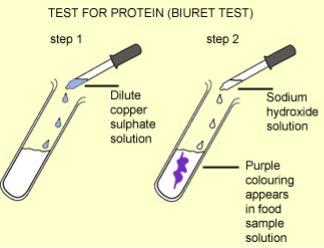 Qualitative food tests for starch, reducing sugar, protein and fat Food Tested Procedure / Chemicals