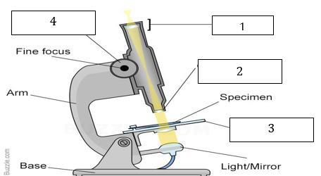 Q4. Explain the parts of the microscope labelled 1-4 below 1. 2. 3. 4. Q5.