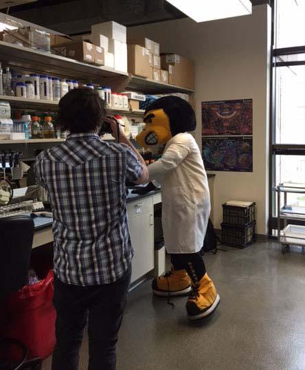 Issue 1134 24 July 2015 DSB WEEKLY Christine White, Editor Pediatric Dentistry and Dental Public Health Residents Visit Migrant Camps Herky Visits the College of Dentistry Dental Research Labs Recent