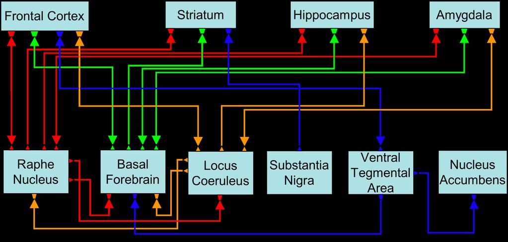 Value Systems Organisms adapt their behavior through value systems: Non-specific, modulatory signals to the rest of the brain.