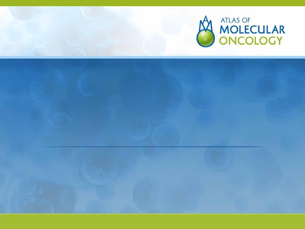 ALK Fusion Oncogenes in Lung Adenocarcinoma Vincent A Miller, MD Associate Attending