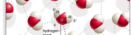 Molecular l Interactions ti in Bio molecular l Structures water