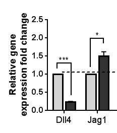 proteins and overexpression is ale to normalize the expression