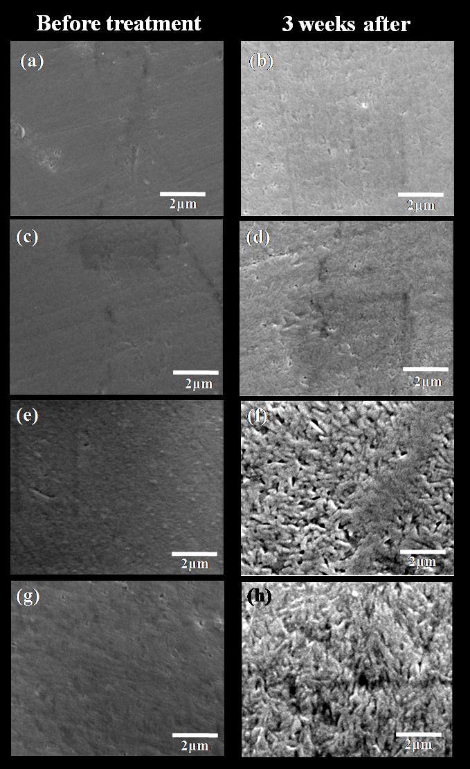 Fig. 7 - Scanning Electron Microscopy (SEM) of the tooth blocks before and after being treated with various dental filling materials.