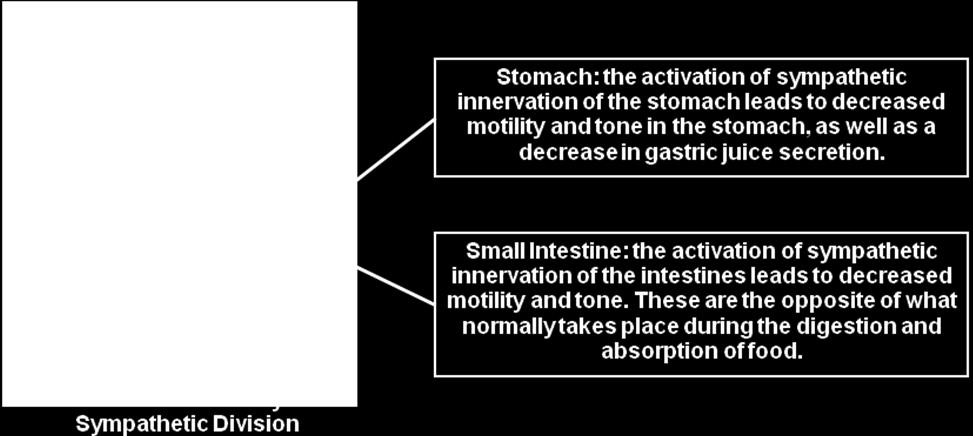 The activation of sympathetic innervation of the stomach would lead to an increase in the motility and the tone. B.