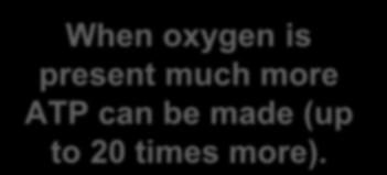 oxygen is present much