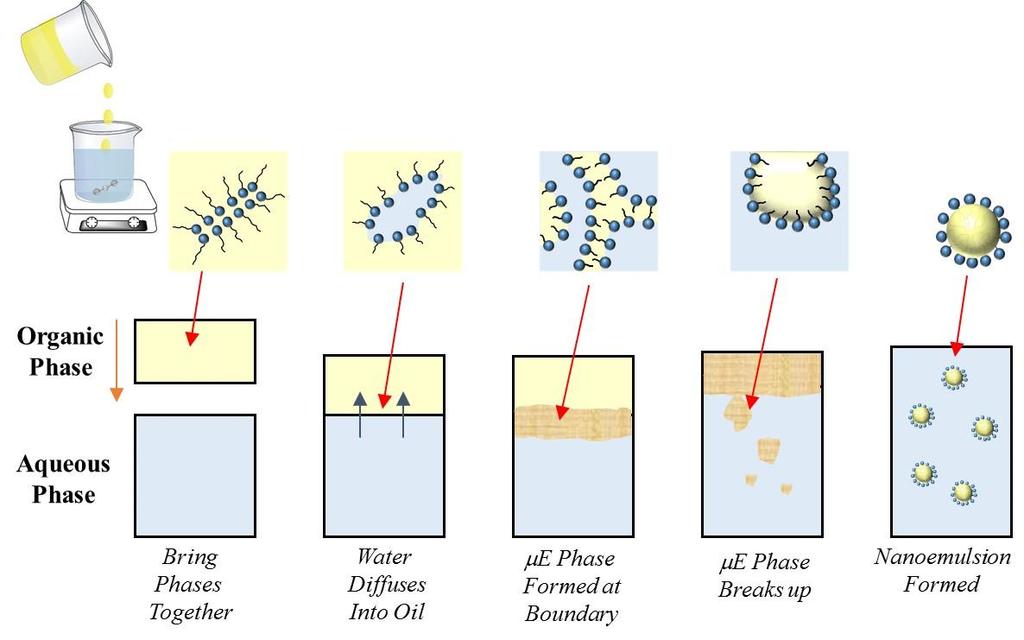 Figure 2. Schematic diagram of potential mechanism for formation of nanoemulsions by the spontaneous emulsification method.