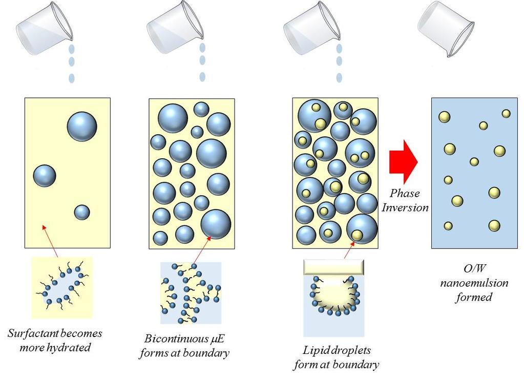 Figure 3. Schematic diagram of proposed mechanism for formation of nanoemulsions by the emulsion phase inversion method.