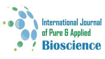 Available online at www.ijpab.com Patel et al Int. J. Pure App. Biosci. 5 (6): 1645-1649 (2017) ISSN: 2320 7051 DOI: http://dx.doi.org/10.18782/2320-7051.2978 ISSN: 2320 7051 Int. J. Pure App. Biosci. 5 (6): 1645-1649 (2017) Research Article Heterosis for Yield and Yield Component in Vegetable Indian Bean (Dolichos lablab L.