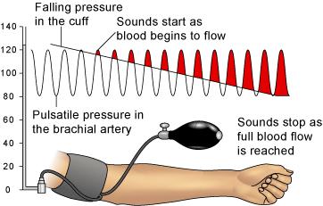the pressure at which the pulse can no longer be detected Stethoscope is placed against the brachial artery and the cuff pressure is slowly released.
