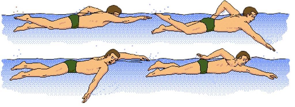 Each students will be assessed swimming front crawl, back stroke, breaststroke and butterfly.