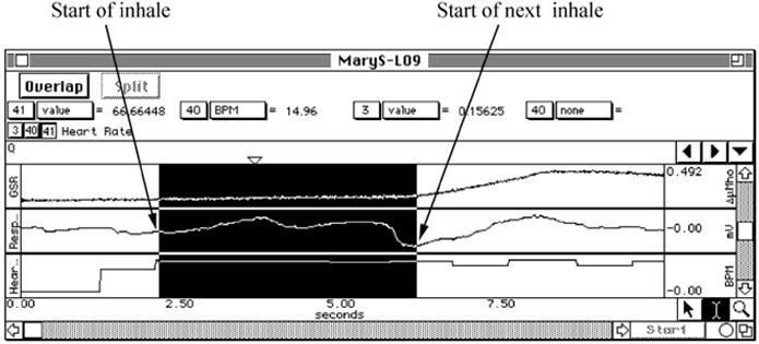5. MEASURING RESPIRATION: Beginning with the first stimulus, using the I-Beam cursor, select an area from the start of the first inhale after the stimulus marker indicating the stimulus to the start