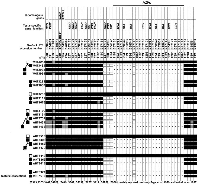 Clinical characterization of 42 AZFc-deleted men Figure 1. AZFc deletion map of eight infertile men, their 10 conceived sons and their fathers, when available.
