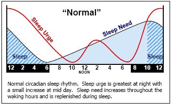 Total Sleep Time Requirements by Age 18 Nighttime sleep Daytime sleep 16 14 12 10 8 6 4 2 0 1 wk 1 mo 3 mo 6 mo 9 mo 12 mo 18 mo 2 yr 3 yr 4 yr 5 yr 6 yr 7 yr 8 yr 9 yr 10 yr 11 yr 12 yr 13 yr 14