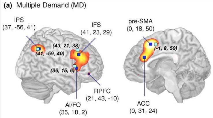 Multiple Demand Regions engaged in a wide variety of difficult cognitive tasks hence multiple demand related to fluid intelligence: activated during fluid intelligence tasks causal role in fluid