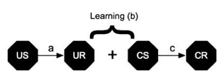 Figure 2.1. A cartoon diagramming the components underlying the CPP training paradigm.