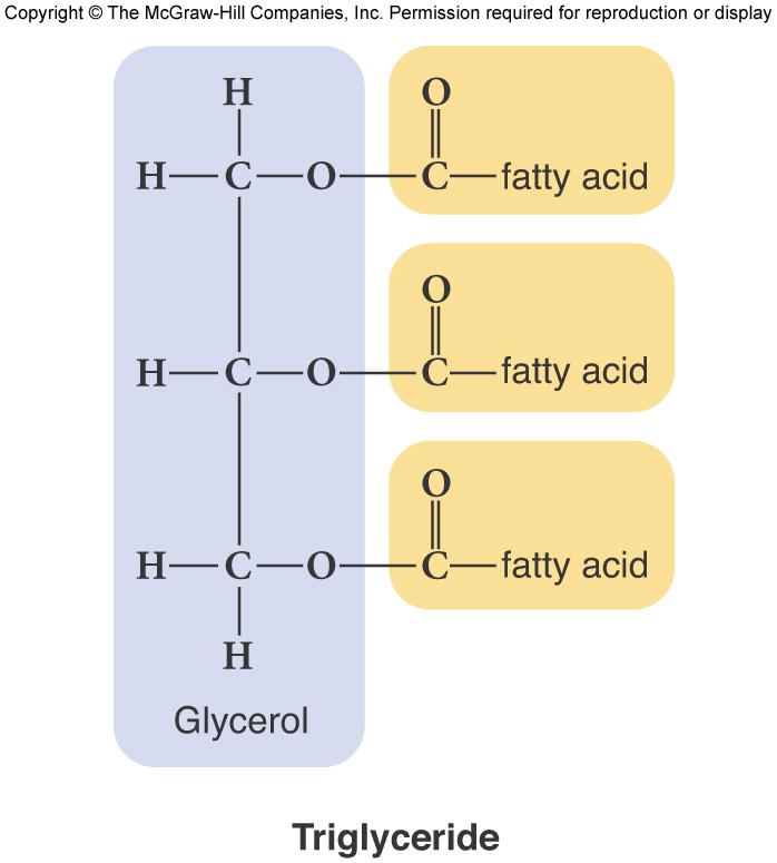Composed of 3 fatty acids attached to a glycerol backbone 2.