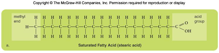 1. Fatty Acids Fatty acids contain a hydrocarbon chain (carbon and hydrogen atoms) with a methyl group (CH3) at one end and an acid group (COOH) at the other.