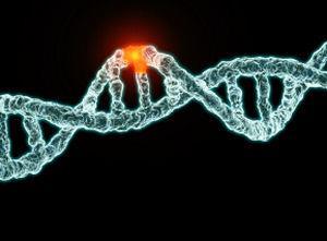 mutation in DNA