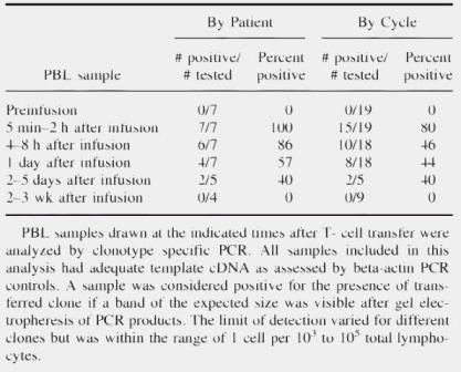 undetectable levels by 2 weeks Clinical outcome: One partial response (PR) Issues Peripheral blood counts should have been much higher Cells should have persisted much longer Dudley M, et al.