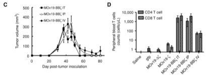 Anti-Folate Receptor CAR T Cells: Adding Co-Stimulatory Domain Improves Anti-Tumor Response Anti-FRa CAR Vectors Control Vectors CD137 = 4-1BB co-stimulatory domain Effectiveness of Anti-FRa CAR plus