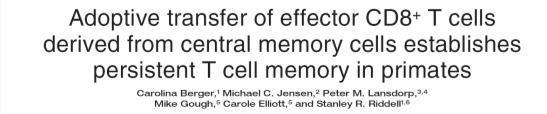 Isolation of and labeling of TCM and TEM cells J. Clin. Invest. 118:294 305 (2008). doi:10.1172/jci32103.