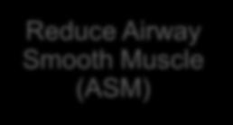 BT Reduces Excess Airway Smooth Muscle (ASM) 1 Reduce