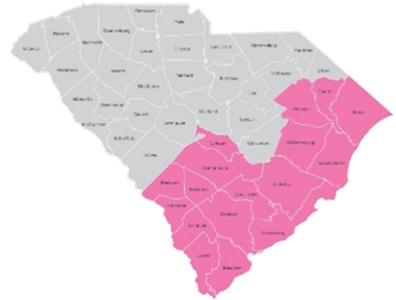Executive Summary Introduction to the Community Profile Report Since 1993, has been working to reduce the burden of breast cancer in South Carolina.
