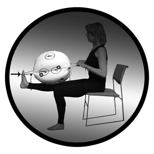 ANKLE JOINT 1. Sit in a chair with the OsteoBall. 2. Place one of the handles of the OsteoBall around the ball of your right foot. 3. Assume a chin-in, pelvic pinch position. 4.