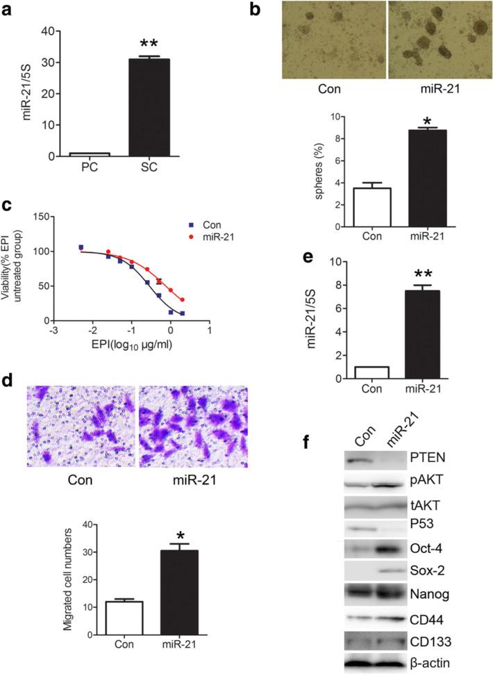 Wang et al. Journal of Hematology & Oncology (2016) 9:90 Page 7 of 18 Fig. 3 mir-21 overexpression enhances stem cell-like properties of gastric cancer cells.