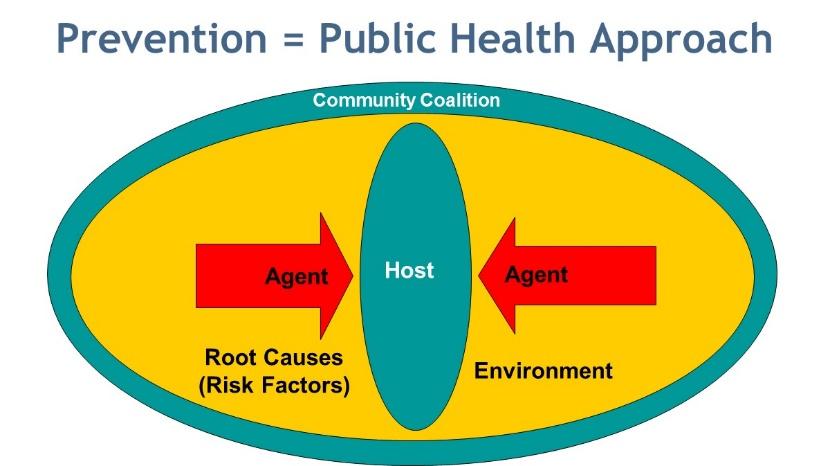 Root Causes (Risk Factors) Root Causes are conditions in the individual and shared