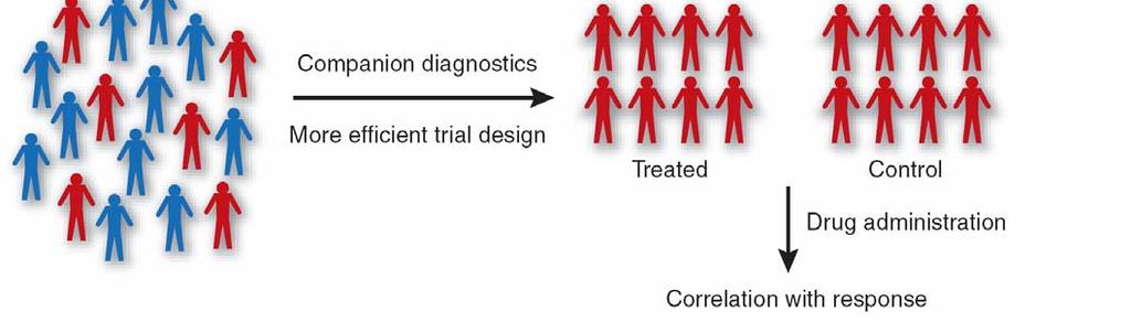 Predictive Testing for Targeted Therapies: impact on clinical trials Phase 1: