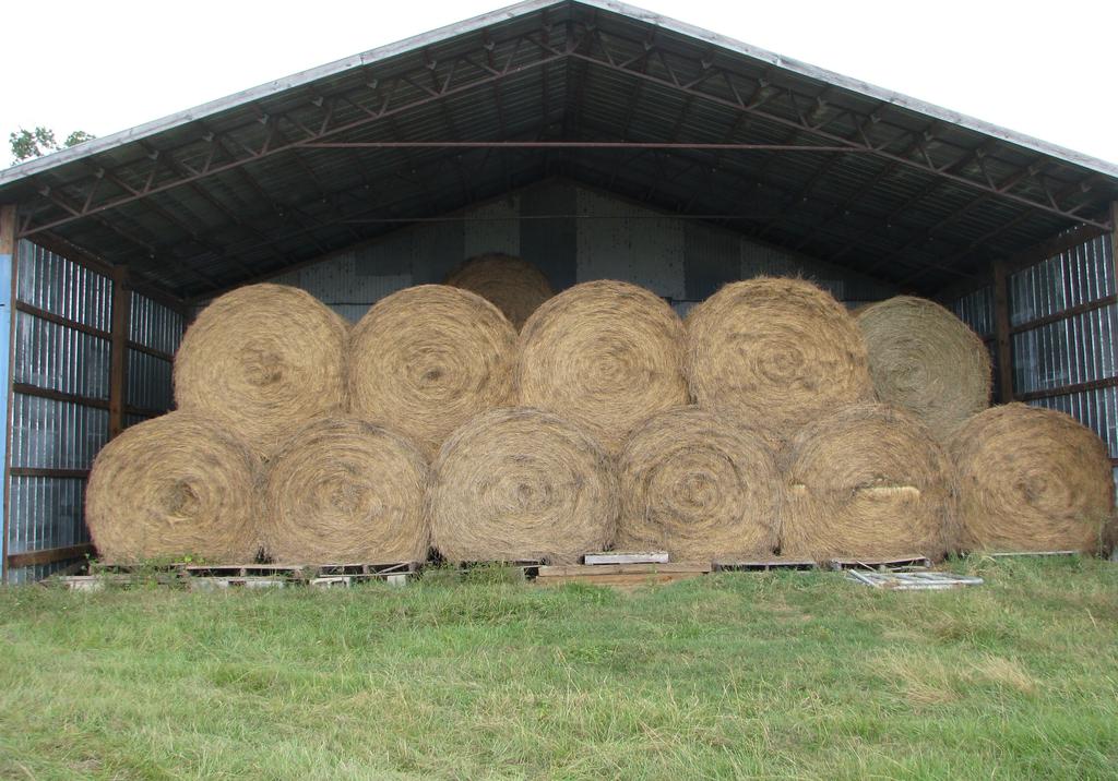 Ideally, hay should be stored off the ground, under a roof, and off limits to animals. Reference National Research Council, 2007. Nutritional Requirements of Horses, 6th edition. Washington, D.C.: National Academy Press.