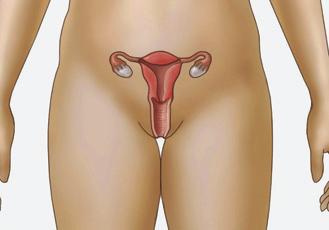16 GLOSSARY Abnormal Pap test (ab-nor-mal): A finding that is not normal. An abnormal result means that your cervix has cell changes. Your doctor may use medical terms to describe these results.