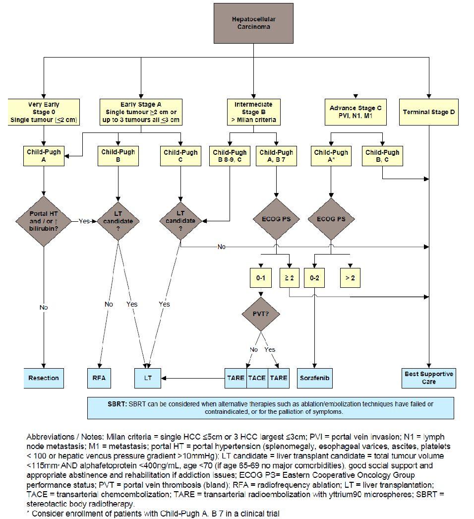 C) TREATMENT Algorithm for the Management of HCC According to the Updated AHS Clinical Practice