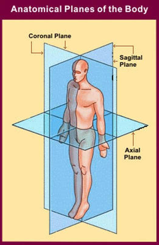 Da Planes We can now reconstruct images in a verity of anatomical planes Axial (Transverse) Plane Creates Head and Foot