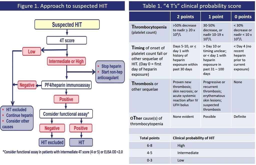Figure 1 and Table 1 provide a rational approach to suspected HIT.