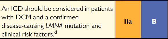 Risk factors NSVT on Holter LVEF<45% Male gender Non-missense mutations Thus, it seems prudent to consider an ICD