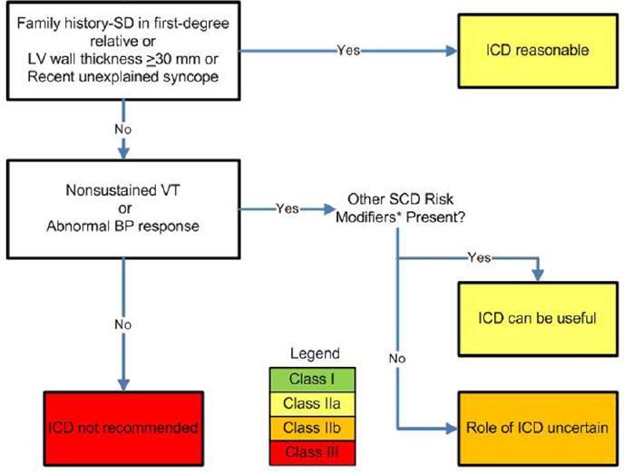 risk stratification in patients with HCM http://doc2do.