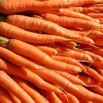 carrots = 18 chromosomes; ex #2: