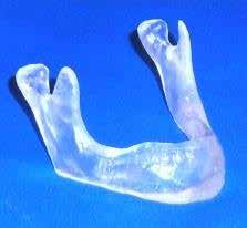 DM 304 Mandible with extractable teeth Order the