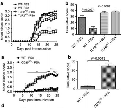 PSA up-regulates CD39 signaling through TLR2 Wang Y et al. Nature Communications, 2014 Jul 21; 5: 4432.