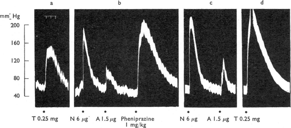 COCAINE AND ANTIDEPRESSANTS 353 to noradrenaline, but not the response to adrenaline, whereas on the nictitating membrane the contractions to both catecholamines were potentiated.