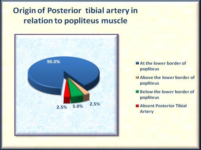 TABLE- 1 Origin Of Posterior Tibial Artery In Relation To Popliteus Muscle Sl. No.
